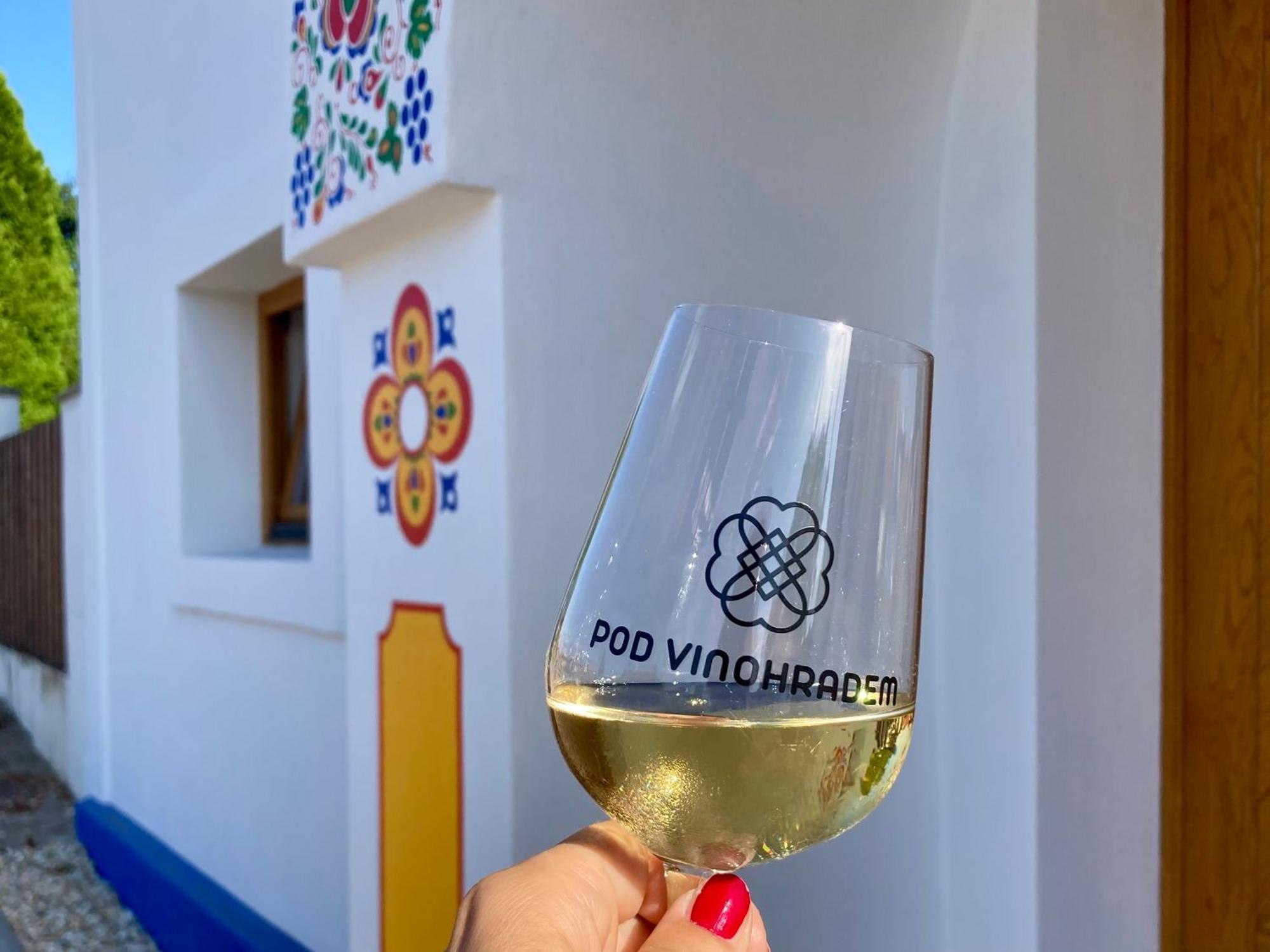 Pod Vinohradem - Apartmany & Vinne Sklepy Mutěnice 外观 照片